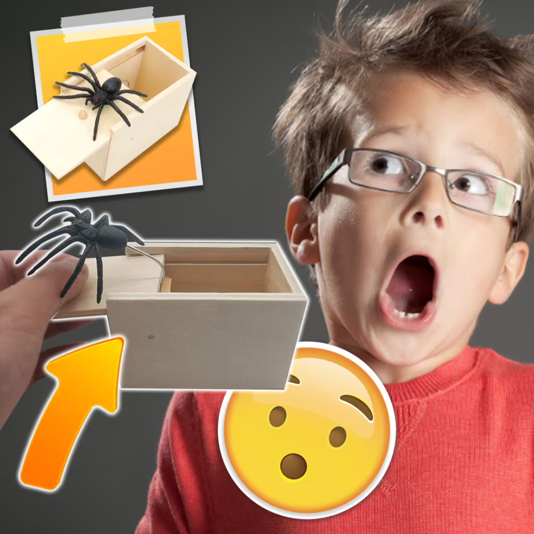 ScareBox™ | The Ultimate Spider Prank Box