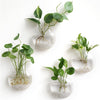 Globeo™ – Give Your Plants a Stylish New Home and Bring Your Walls to Life!