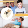 ScareBox™ | The Ultimate Spider Prank Box