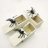 ScareBox™ | The Ultimate Spider Prank Box