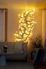 Wisp Willow Vine