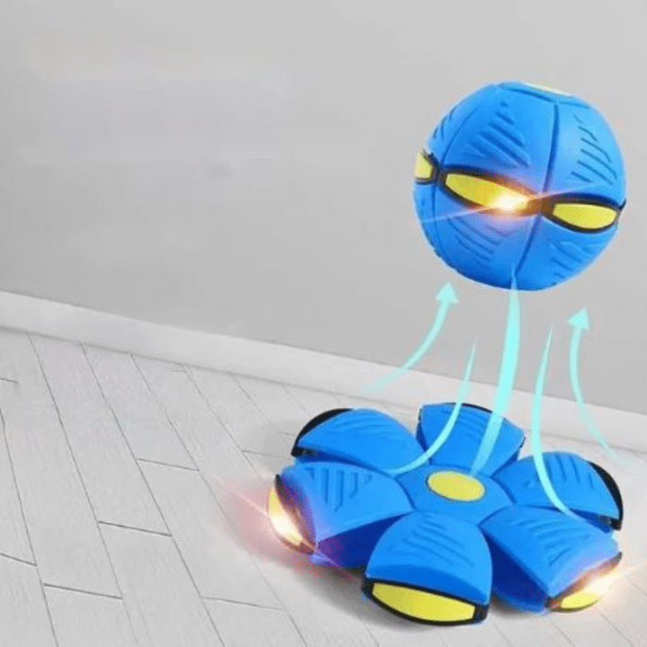 Interactive Flying Dog Toy 25$ TODAY ONLY