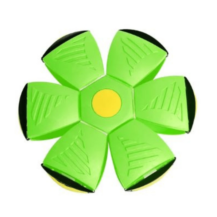 Interactive Flying Dog Toy 25$ TODAY ONLY