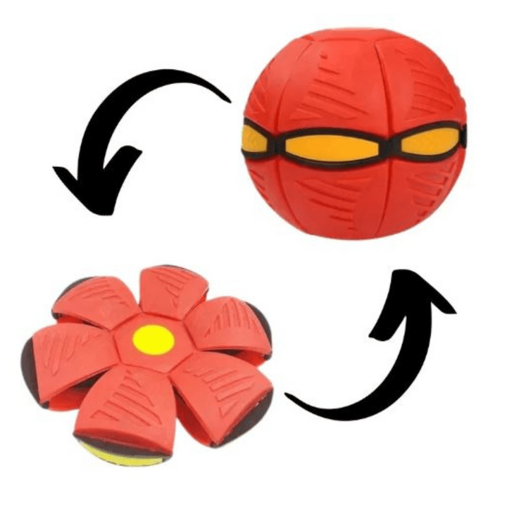 Interactive Flying Dog Toy 25$ TODAY ONLY