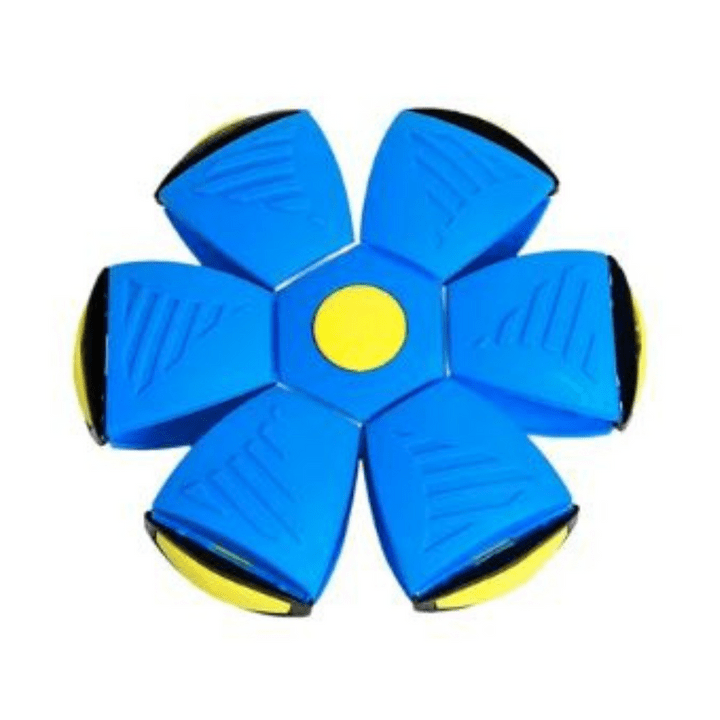 Interactive Flying Dog Toy 25$ TODAY ONLY