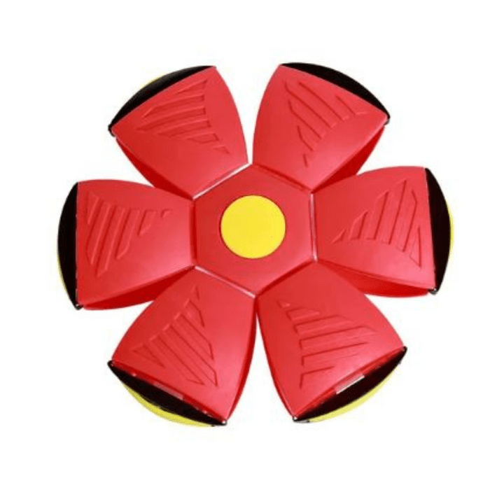 Interactive Flying Dog Toy 25$ TODAY ONLY