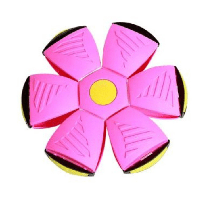 Interactive Flying Dog Toy 25$ TODAY ONLY