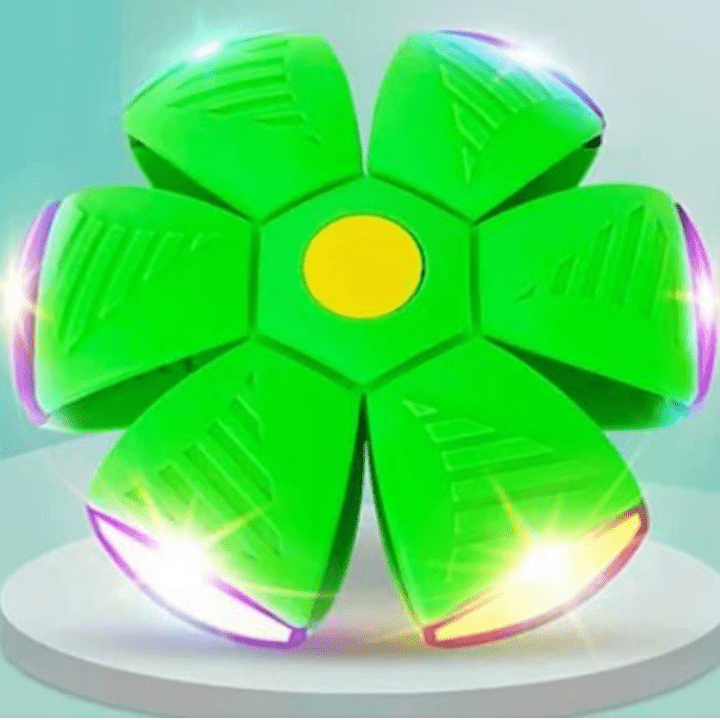 Interactive Flying Dog Toy 25$ TODAY ONLY