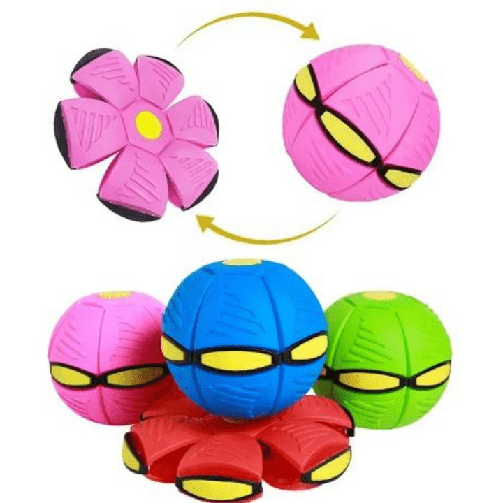 Interactive Flying Dog Toy 25$ TODAY ONLY