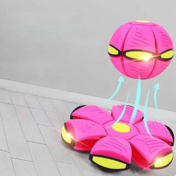 Interactive Flying Dog Toy 25$ TODAY ONLY