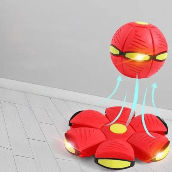 Interactive Flying Dog Toy 25$ TODAY ONLY