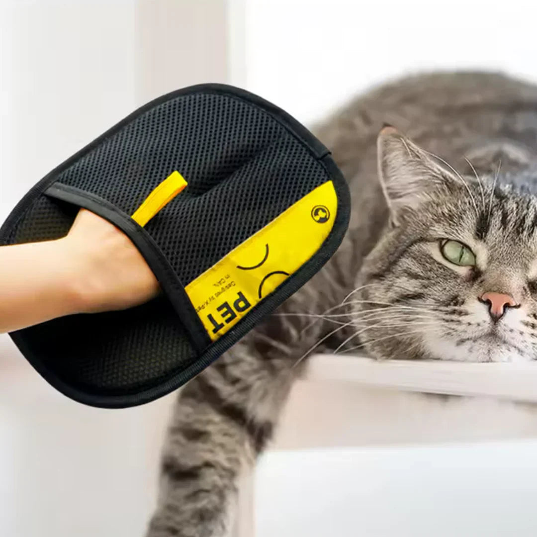 GroomEase™ – The Gentle Glove for Happy Pets