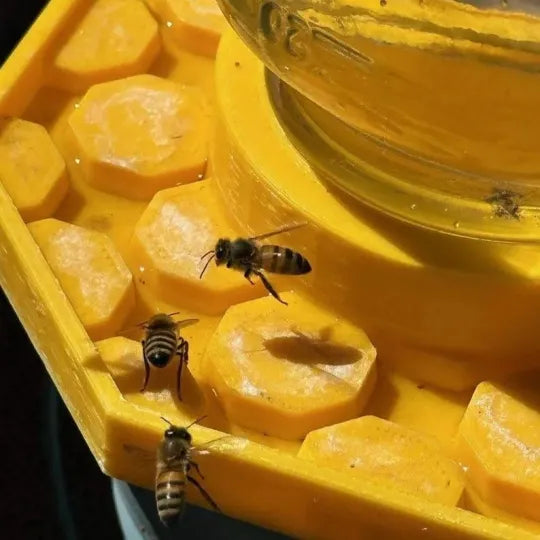 BuzzBloom | Decorative Bee Hydration Spot for Gardens