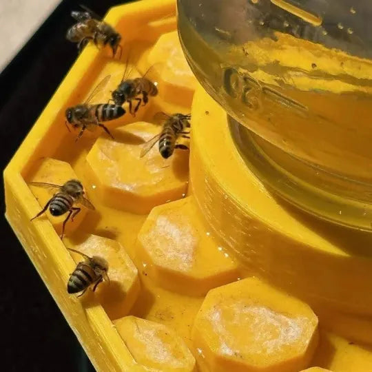 BuzzBloom | Decorative Bee Hydration Spot for Gardens