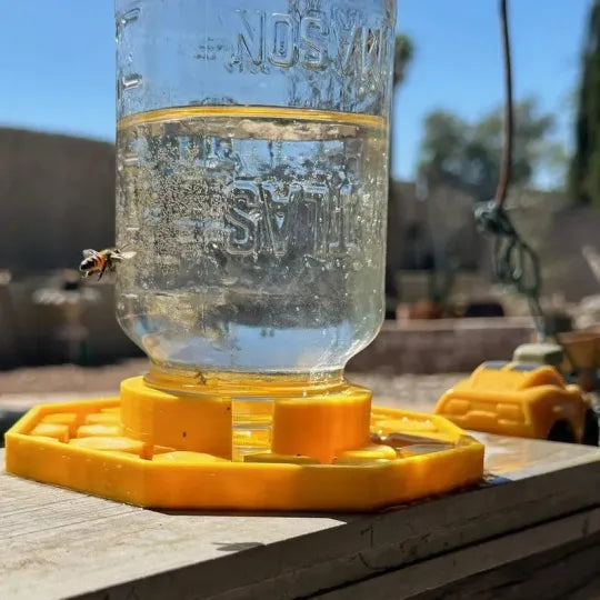 BuzzBloom | Decorative Bee Hydration Spot for Gardens