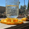 BuzzBloom | Decorative Bee Hydration Spot for Gardens
