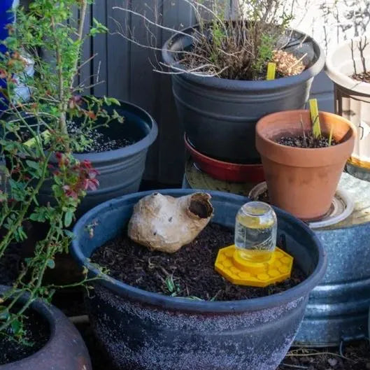 BuzzBloom | Decorative Bee Hydration Spot for Gardens