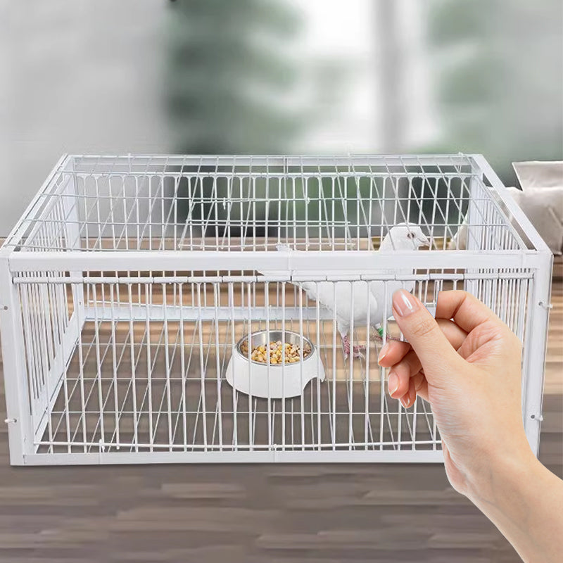 TrapPro™ |  Large Portable One Way Bird Cage