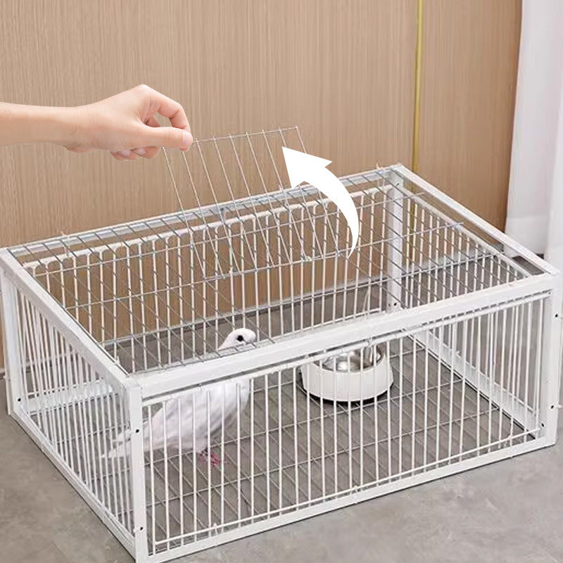 TrapPro™ |  Large Portable One Way Bird Cage