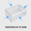 TrapPro™ |  Large Portable One Way Bird Cage